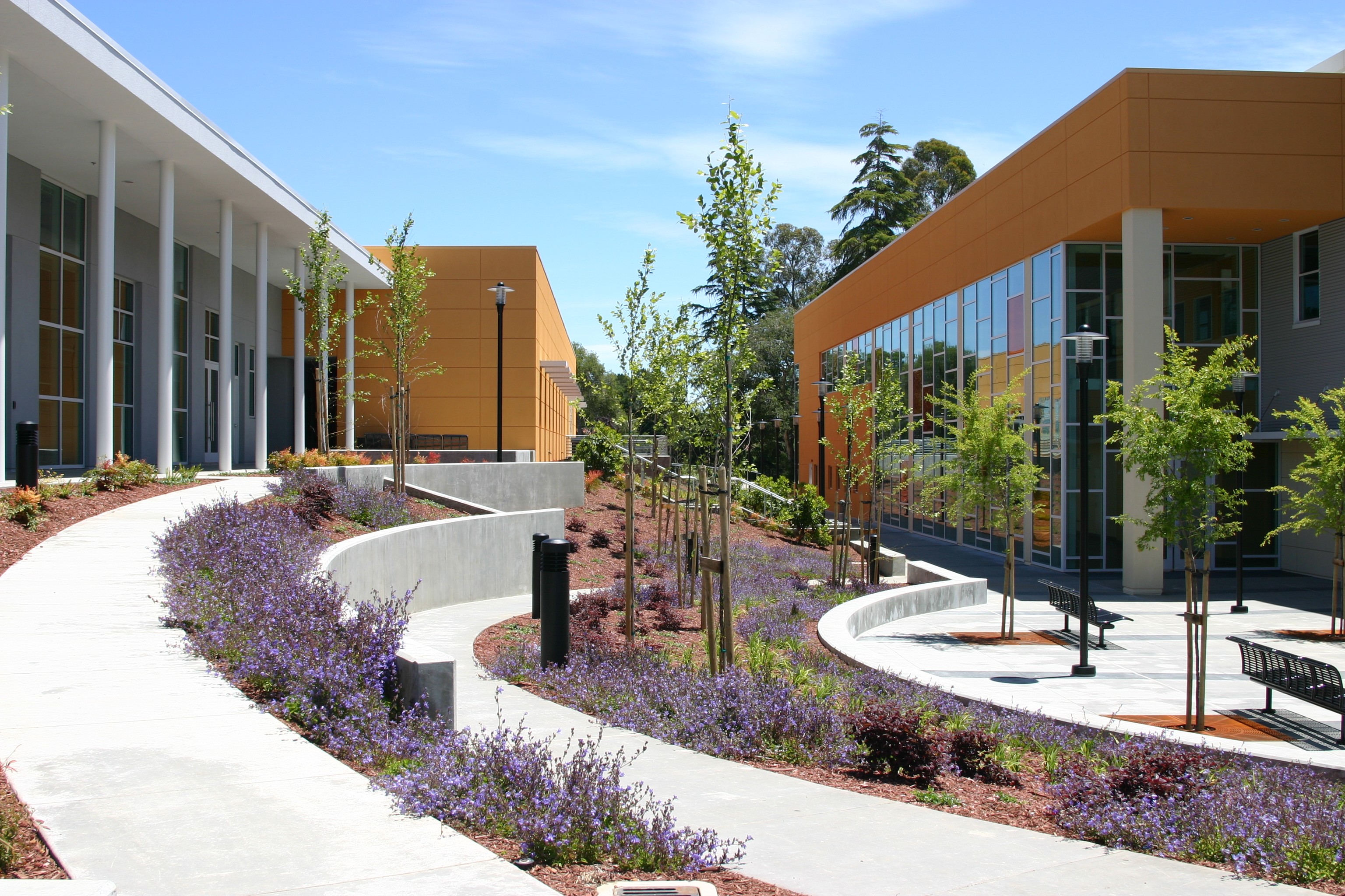 Cabrillo College