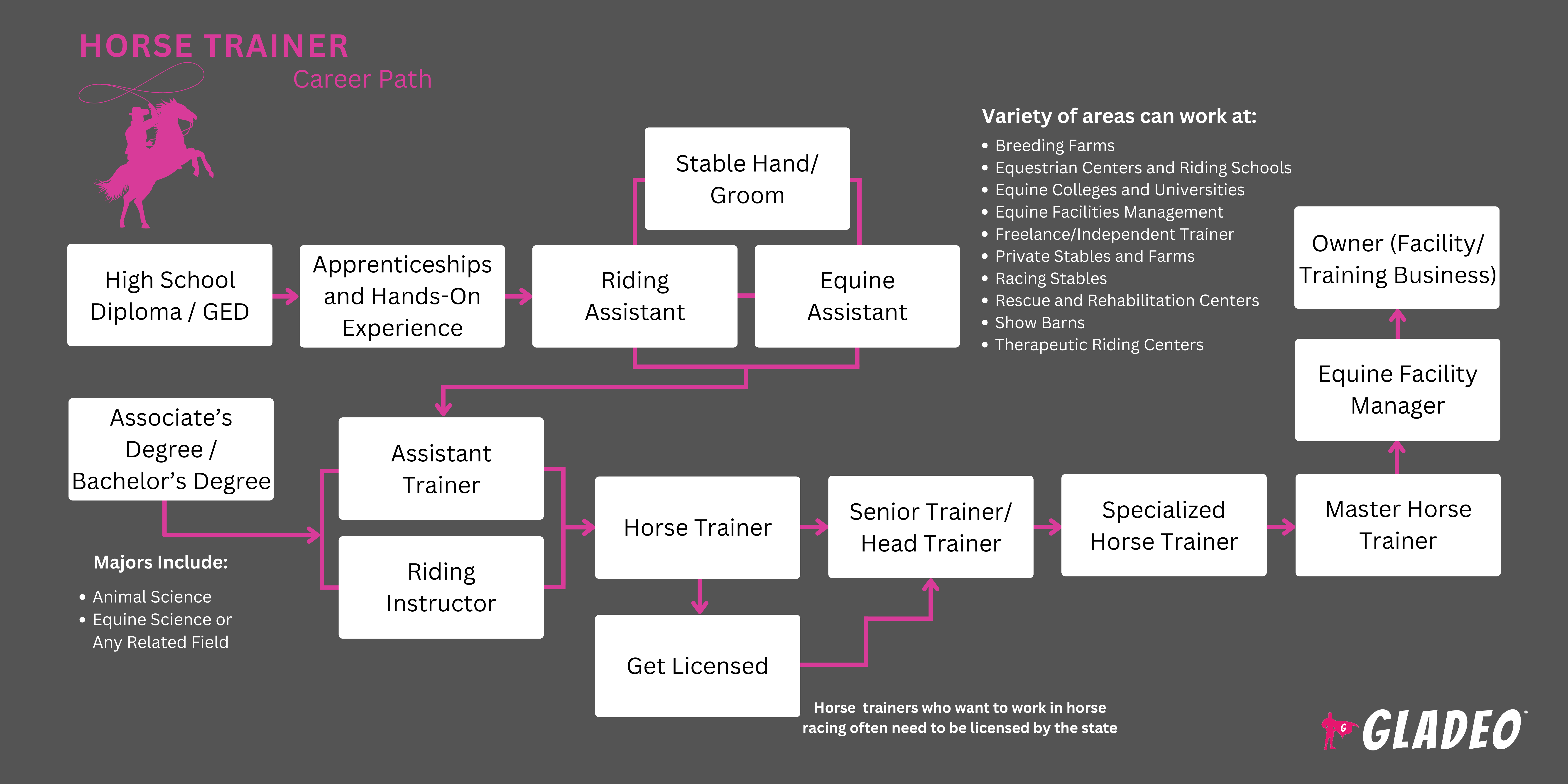 Horse Trainer Roadmap