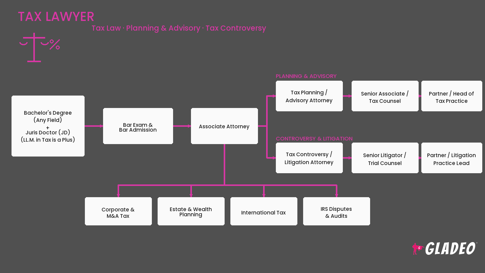 Tax Lawyer